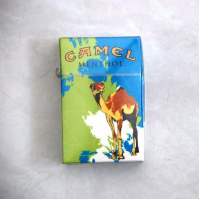 p-camel_01